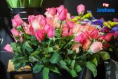 IMG_5532.jpg