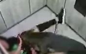 chien 3.JPG
