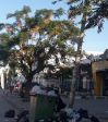 20230103_084523.jpg