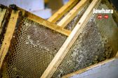 IMG_8350_resultat.jpg