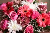 IMG_2926_resultat.jpg