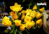 IMG_2931_resultat.jpg