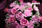 IMG_2933_resultat.jpg