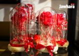 IMG_2983_resultat.jpg