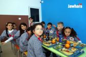 IMG_7768_resultat.jpg