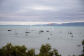 IMG_7904.JPG