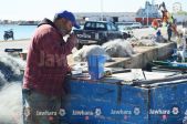 DSC_0841 copie.jpg