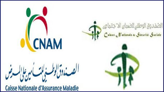 أزمة الكنام تهدد بإفلاس