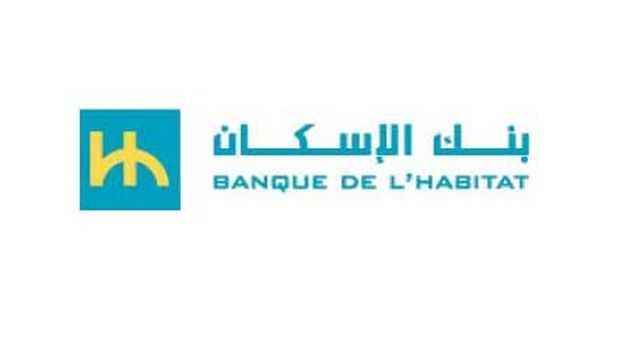 تدقيق لوزارة المالية : مردودية ضعيفة للشركة التونسية للبنك و بنك الإسكان