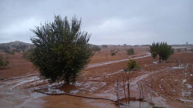 أمطار غزيرة في الجنوب 