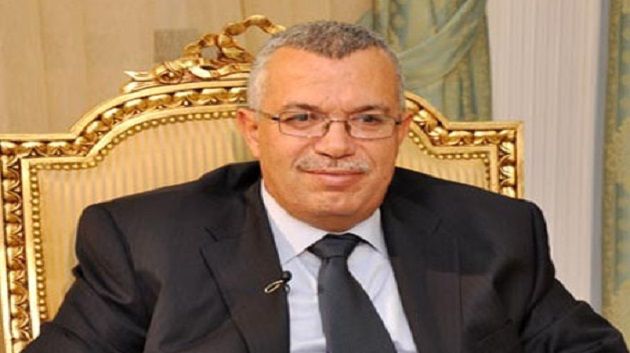 نورالدين البحيري : نواصل دعم أحمد المستيري لاستجابته لكافة الشروط