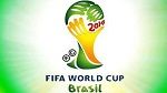 رسمياً : الكامرون في مونديال البرازيل 2014