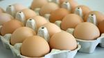 وزارة التجارة تحدّد أسعار بيع البيض