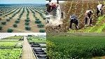 الفلاحة وأملاك الدولة تكشفان حقيقة التفويت في الأراضي الدولية
