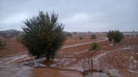 أمطار غزيرة في الجنوب