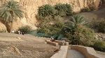 توزر وجهة لحوالي 4 ألاف سائح بداية من اليوم