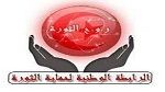 تأجيل النظر في قضية حل رابطات حماية الثورة
