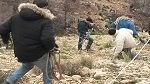 تحت حراسة عسكرية : الستاغ تعيد نسق توزيع الكهرباء في قلب الشعانبي
