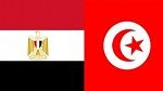 السفير المصري في تونس يعود لممارسة مهامه