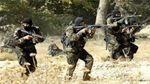تجدد الاشتباكات بين الجيش وإرهابيين في الشعانبي