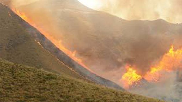 حريق جبل النحلي : طائرة وشاحنات اطفاء عسكرية للمساعدة في اطفائه