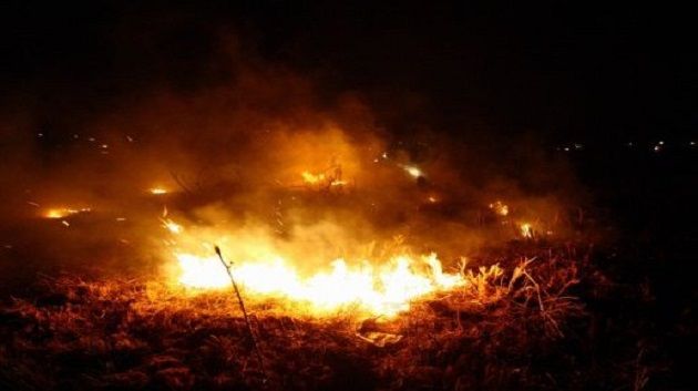 نشرة الأخبار00:00 19-06-14