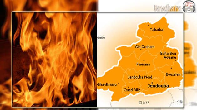 جندوبة : حريق بغابة الصنوبر بوادي مليز