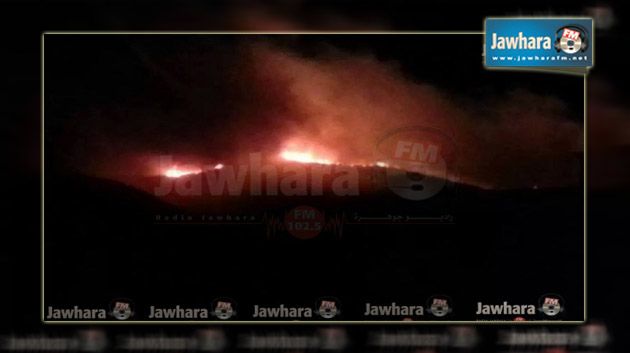 جندوبة : حريقان متزامنان بطبرقة ووادي مليز