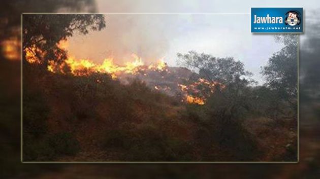 بعد ساعات من تمشيطه : حريق بجبل ليحيريش بجندوبة
