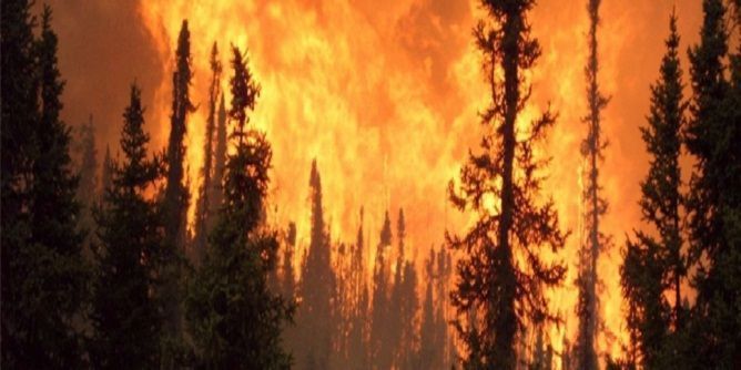 نشرة أخبار منتصف الليل ليوم الخميس 14-08-14