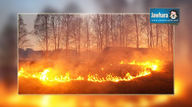 زغوان : اندلاع عدد من الحرائق بجبال معتمديتي الفحص والناظور