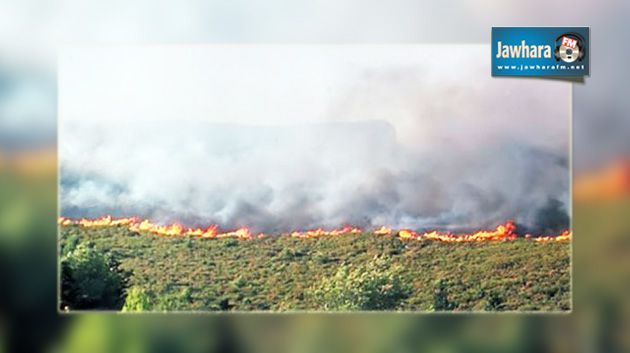 تواصلا مع الحرائق التي شهدتها المنطقة: اقتحام مركز مراقبة الغابات بزغوان