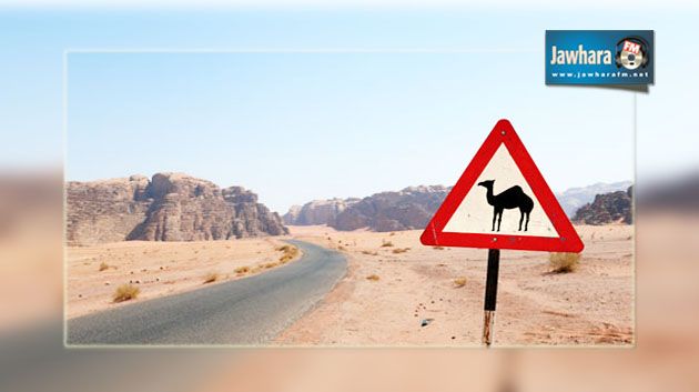 وفاة إطار في الديوانة وإصابة 3 آخرين إثر اصطدام سيارتهم بأحد الجمال