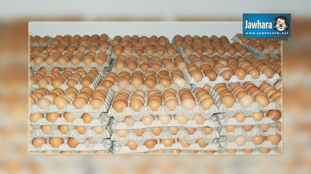 القنطاوي : 4000 بيضة لإعداد أكبر أملات في العالم بحضور 200 صحفي أجنبي
