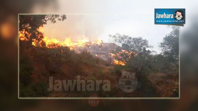 أربع ساعات للسيطرة على حريق بجبل النحلي