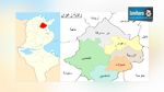والي زغوان يصدر قرارا باعفاء 22 عمدة من مهامهم 
