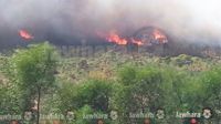 حريق بمنطقة خنقة الحجاج بقرمبالية من ولاية نابل