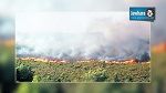 تواصلا مع الحرائق التي شهدتها المنطقة: اقتحام مركز مراقبة الغابات بزغوان