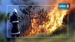  سليانة : حريق  بجبل برقو والحماية تعجز عن اخماده