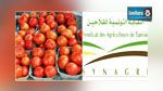  رئيس نقابة الفلاحين : منظومة انتاج الطماطم في تونس مهددة بالإنهيار