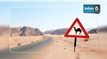 وفاة إطار في الديوانة وإصابة 3 آخرين إثر اصطدام سيارتهم بأحد الجمال