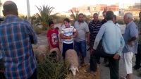 أجواء بيع