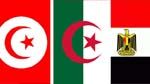 اتفاق أمني بين تونس ومصر والجزائر لمنع وصول 
