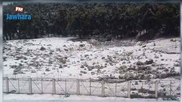 بداية تساقط الثلوج بمرتفعات جندوبة 