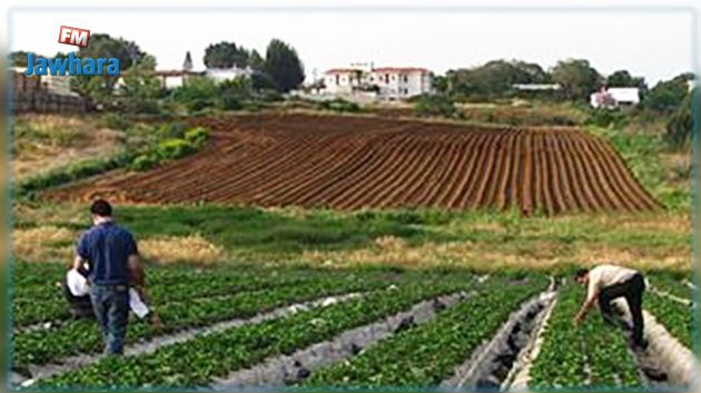 إتحاد المهندسين المزارعين يطالب بإرجاع الأراضي الدولية الفلاحية لمستغلّيها