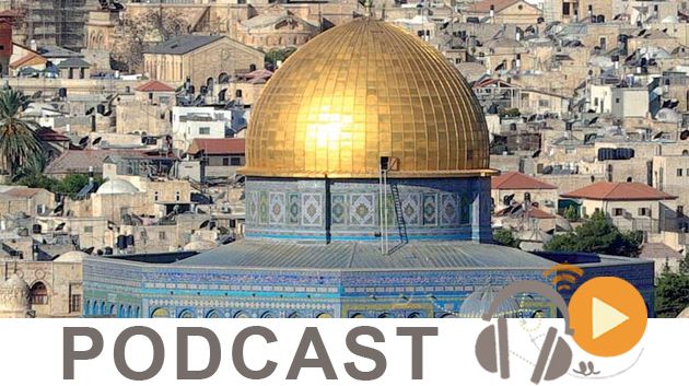 نشرة أخبار السابعة صباحا ليوم الخميس 7 ديسمبر 2017
