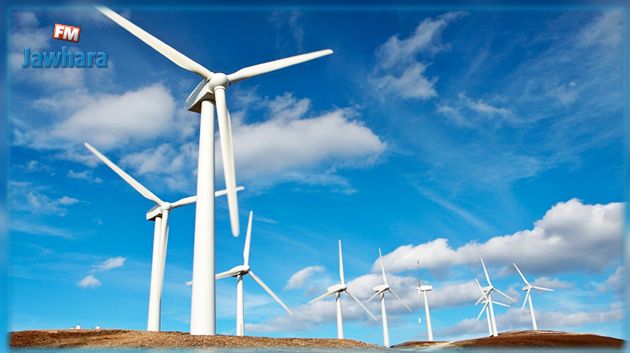 الحكومة تقرّر التسريع في إنجاز مشاريع الطاقات المتجددة