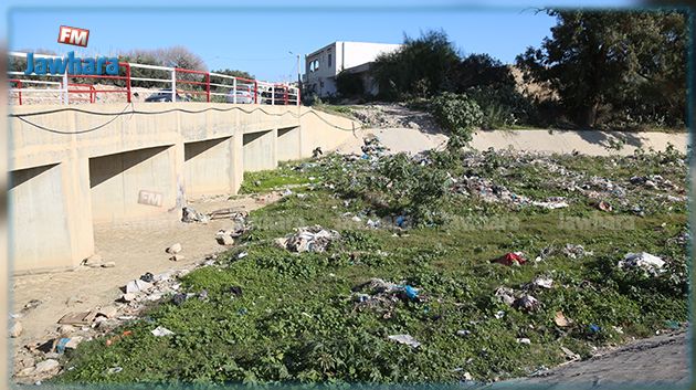 الرادار : وضعية بيئة كارثية في وادي الجنان