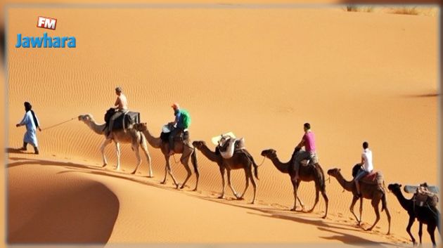 توزر تتجَمَّل لإستقبال الاف الزوار : الحجوزات تجاوزت 50 بالمائة