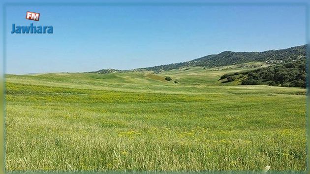 استرجاع أرض دولية في مجاز الباب